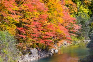 紅葉から落葉へ変わった葛根田渓谷で味わう絶品そば「玄武洞茶屋」