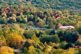 日本一大きい「西明寺栗」を求めて紅葉の八幡平を越える