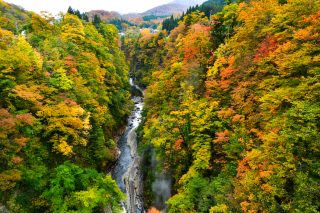 紅葉の小安峡と手打ちそばと、えっ!ステーキ?「かえで庵」