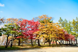 【PhotoshopCC2017】基本操作 写真の開き方と保存方法と簡単な編集