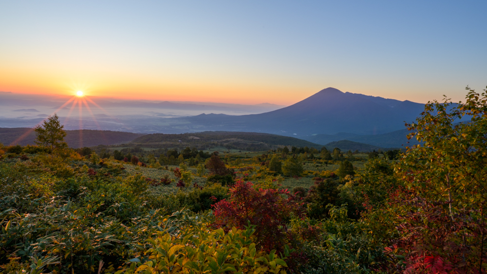 紅葉の始まり（八幡平アスピーテライン）